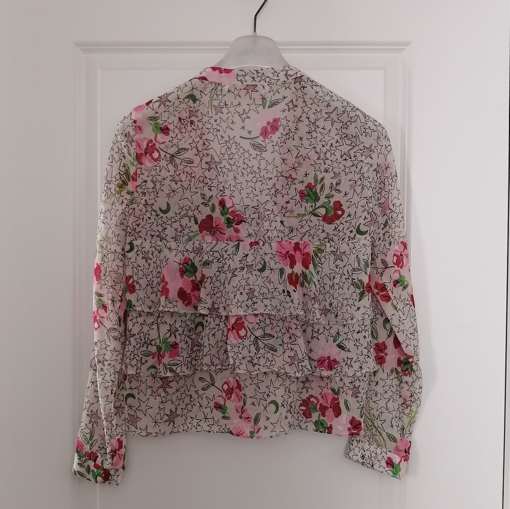 Zara Ruffled Sheer Blouse - Picture 3 of 8